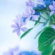 ヒメ日記 2025/07/11 00:53 投稿 くみこ 完熟ばなな大宮