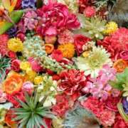 ヒメ日記 2025/07/12 23:43 投稿 くみこ 完熟ばなな大宮