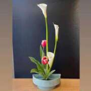 ヒメ日記 2025/07/28 20:13 投稿 くみこ 完熟ばなな大宮