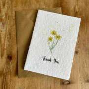 ヒメ日記 2025/08/02 18:43 投稿 くみこ 完熟ばなな大宮