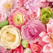 ヒメ日記 2025/08/31 23:13 投稿 くみこ 完熟ばなな大宮