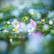 ヒメ日記 2025/09/23 23:03 投稿 くみこ 完熟ばなな大宮