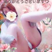 ヒメ日記 2025/04/29 12:13 投稿 なおみ 町田人妻城