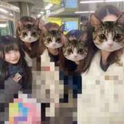 ヒメ日記 2025/01/21 11:41 投稿 りな ホワイトハウス