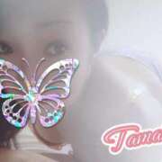 ヒメ日記 2025/08/26 14:35 投稿 たまき 甲府人妻隊