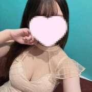 ヒメ日記 2025/03/05 05:13 投稿 さくら 水色りぼん