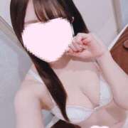 ヒメ日記 2025/03/14 13:23 投稿 さくら 水色りぼん