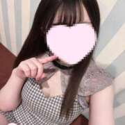 ヒメ日記 2025/04/03 21:23 投稿 さくら 水色りぼん