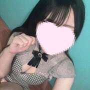 ヒメ日記 2025/04/07 00:23 投稿 さくら 水色りぼん