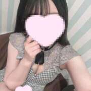 ヒメ日記 2025/04/13 01:33 投稿 さくら 水色りぼん