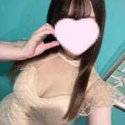 ヒメ日記 2025/04/25 10:53 投稿 さくら 水色りぼん