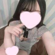 ヒメ日記 2025/04/29 00:03 投稿 さくら 水色りぼん