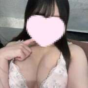 ヒメ日記 2025/05/05 14:04 投稿 さくら 水色りぼん