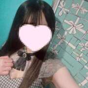 ヒメ日記 2025/06/12 11:23 投稿 さくら 水色りぼん