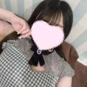 ヒメ日記 2025/07/14 11:53 投稿 さくら 水色りぼん