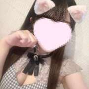 ヒメ日記 2025/11/07 13:03 投稿 さくら 水色りぼん