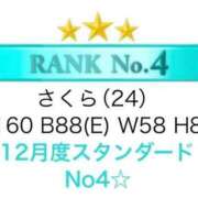 さくら ありがとう🐰❣️ 水色りぼん
