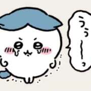 さくら ごめんなさい😭 水色りぼん