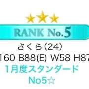 さくら ありがとう🐻‍❄️💕 水色りぼん