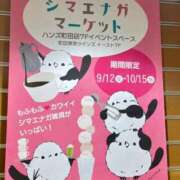 ヒメ日記 2025/09/13 11:01 投稿 幸村ひなた セレブショップ新宿（東京ハレ系）