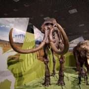 ヒメ日記 2025/10/02 21:27 投稿 幸村ひなた セレブショップ新宿（東京ハレ系）