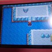 幸村ひなた 体調万全🐰！ セレブショップ新宿（東京ハレ系）