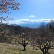 ヒメ日記 2026/04/14 16:46 投稿 幸村ひなた セレブショップ新宿（東京ハレ系）