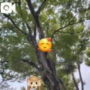 ヒメ日記 2025/10/03 09:42 投稿 あいり 錦センター