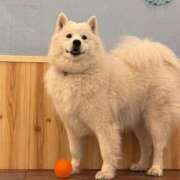 ヒメ日記 2025/03/04 15:55 投稿 みさと・選抜メンバー 全力！！乙女坂46(古町)