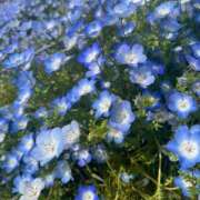 ヒメ日記 2025/05/09 15:58 投稿 みさと・選抜メンバー 全力！！乙女坂46(古町)