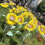 ヒメ日記 2025/07/20 23:18 投稿 みさと・選抜メンバー 全力！！乙女坂46(古町)