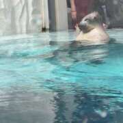 ヒメ日記 2025/09/18 06:40 投稿 みさと・選抜メンバー 全力！！乙女坂46(古町)