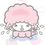 ヒメ日記 2025/07/20 17:34 投稿 なつめ CECIL