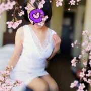 ヒメ日記 2025/04/01 12:08 投稿 浅倉こまち 五十路マダム 浜松店(カサブランカグループ)