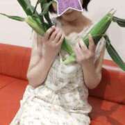 ヒメ日記 2025/06/04 17:26 投稿 浅倉こまち 五十路マダム 浜松店(カサブランカグループ)