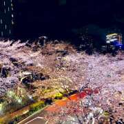 ヒメ日記 2025/04/04 19:44 投稿 まり an_an（アンアン）