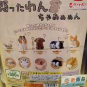 ヒメ日記 2025/03/31 12:00 投稿 沙羅(さら) 厚木奥様Life