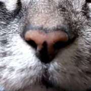 ヒメ日記 2025/10/15 10:11 投稿 沙羅(さら) 厚木奥様Life