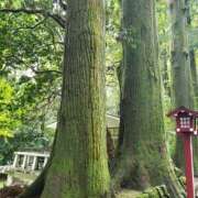 ヒメ日記 2026/01/03 11:27 投稿 沙羅(さら) 厚木奥様Life