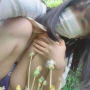 ヒメ日記 2025/06/12 21:02 投稿 ヒカリ OLの品格 クラブアッシュ