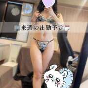 ヒメ日記 2025/09/14 20:02 投稿 ヒカリ OLの品格 クラブアッシュ