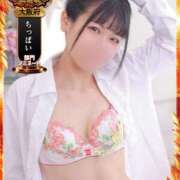 ヒメ日記 2025/09/23 22:04 投稿 ヒカリ OLの品格 クラブアッシュ