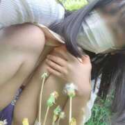 ヒメ日記 2026/03/04 08:03 投稿 ヒカリ OLの品格 クラブアッシュ