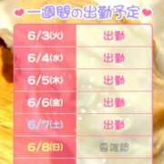 ヒメ日記 2025/06/03 17:03 投稿 もえ 横浜ハッピーマットパラダイス