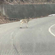 もえ 予約メッセージ待ち 横浜ハッピーマットパラダイス