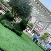 ヒメ日記 2025/05/23 14:56 投稿 みさき 横浜人妻ヒットパレード（シンデレラグループ）