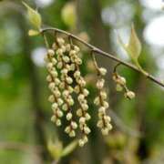 ヒメ日記 2025/10/26 17:26 投稿 みさき 横浜人妻ヒットパレード（シンデレラグループ）