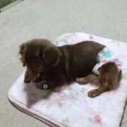 ヒメ日記 2025/11/25 10:57 投稿 みさき 横浜人妻ヒットパレード（シンデレラグループ）