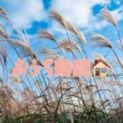 みさき 遅くなりました…！ 横浜人妻ヒットパレード（シンデレラグループ）