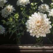 ヒメ日記 2026/01/13 12:46 投稿 みさき 横浜人妻ヒットパレード（シンデレラグループ）